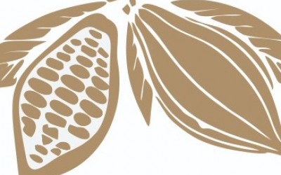 Supporting decent work in Bahia’s cocoa industry