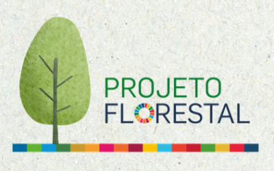 Projeto Florestal: “Semeando Esforços para Melhorar a Escuta e a Assistência de trabalhadores e trabalhadoras Rurais do setor florestal”